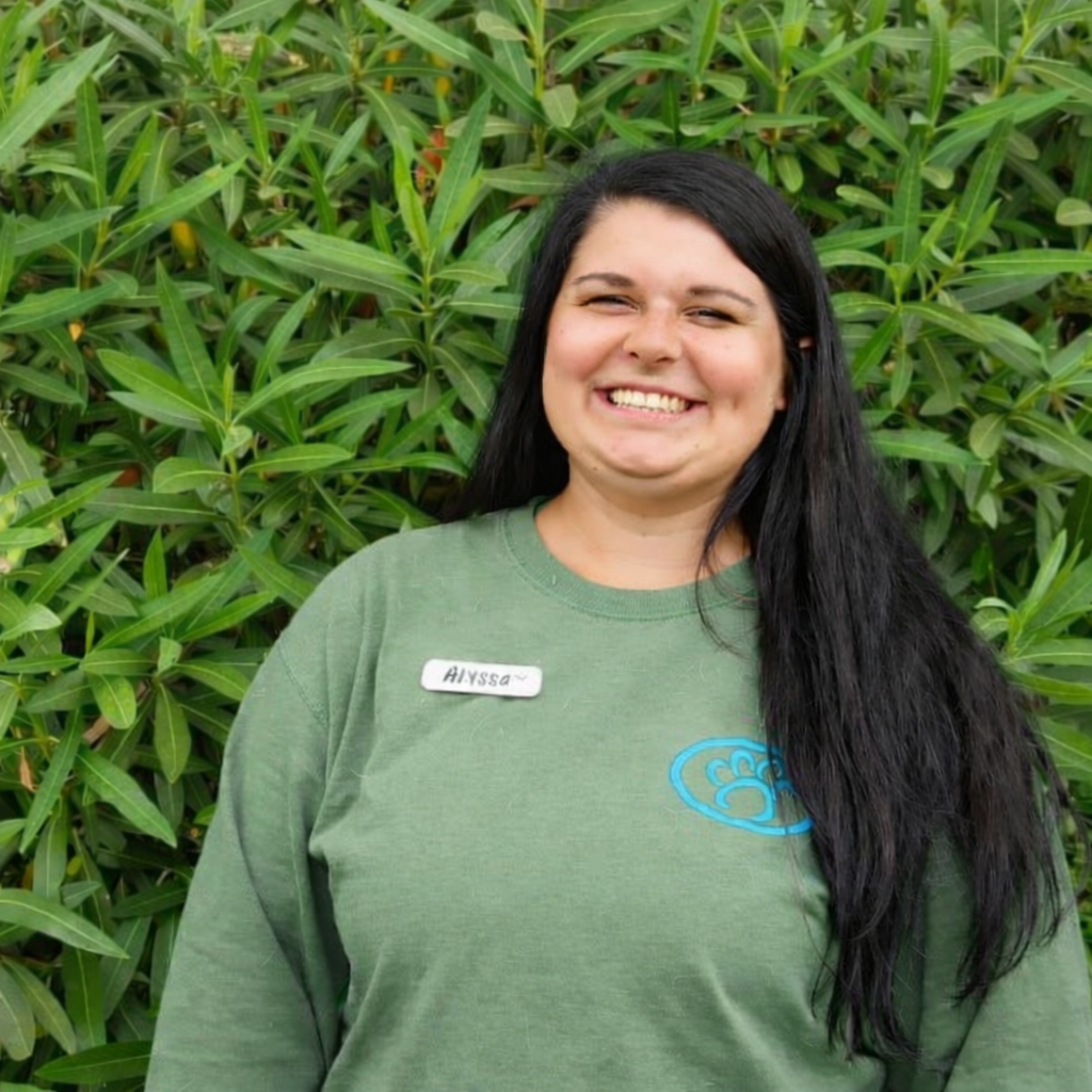 Alyssa H