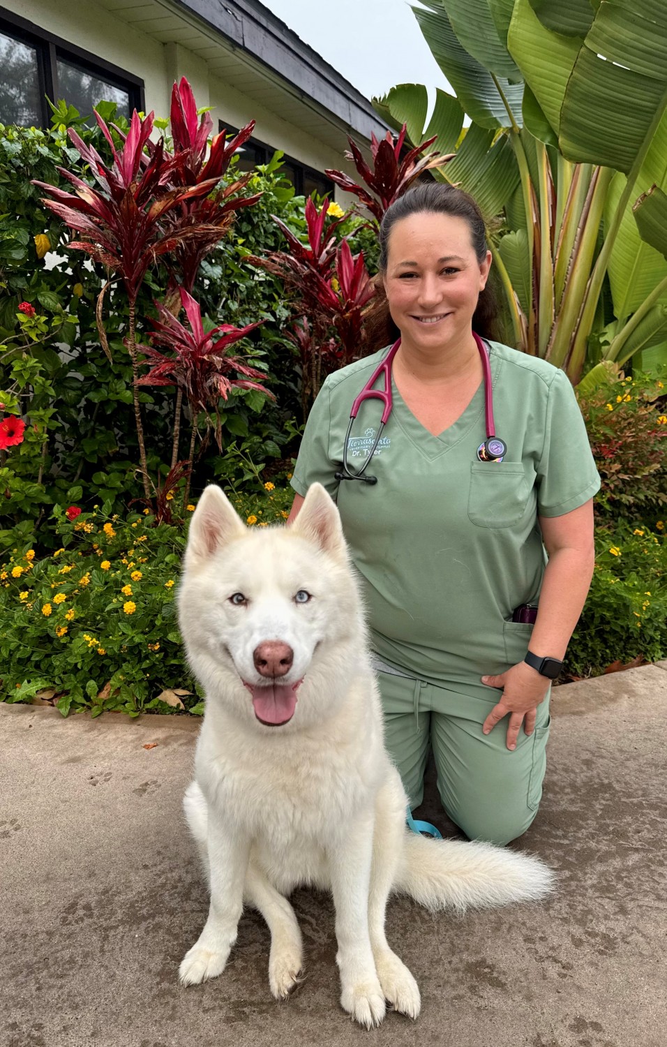 Dr. Jessica Tyler D.V.M. Dr. Jessica Tyler D.V.M.